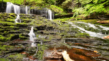 Water Falls On Brown And Green