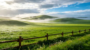 A boundless grassland meets the blue sky