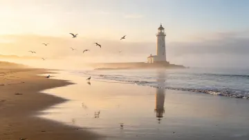 A lighthouse stands by the beach with seagulls circling in t