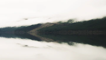Body Of Water Surrounded By Forest